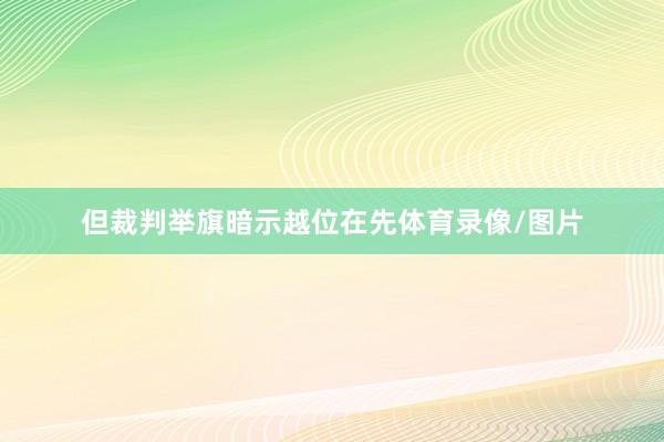 但裁判举旗暗示越位在先体育录像/图片